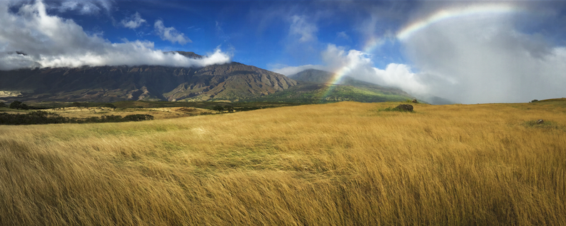 Beautiful Keokea, Maui