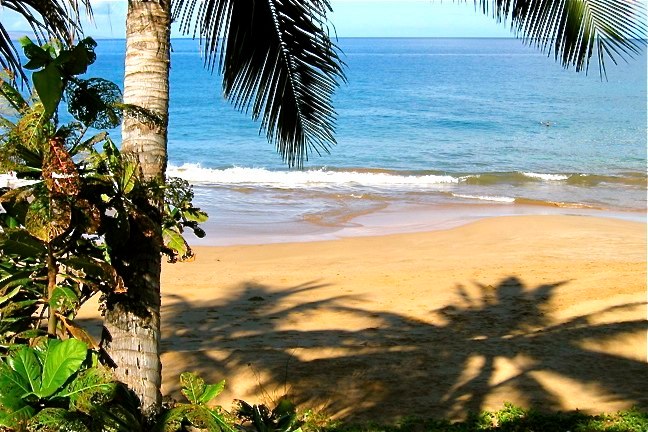 Kamaole Beach III is a great beach for swimming and snorkeling