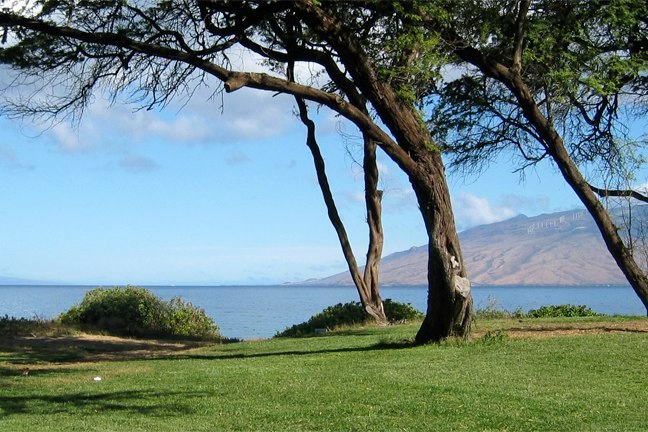 Grassy park at Kamaole Beach III near Maui Kamaole A105