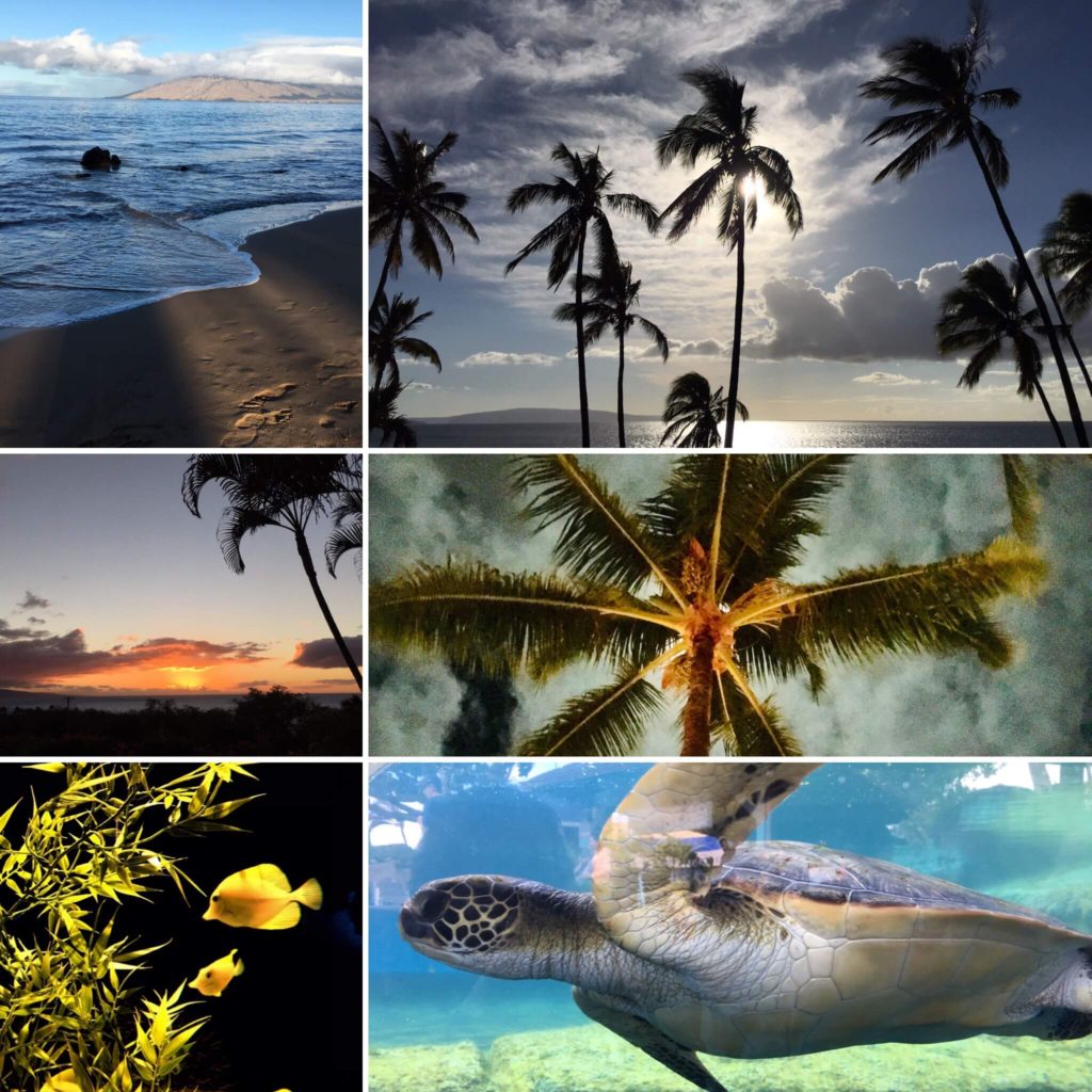 collage 1 of Maui images